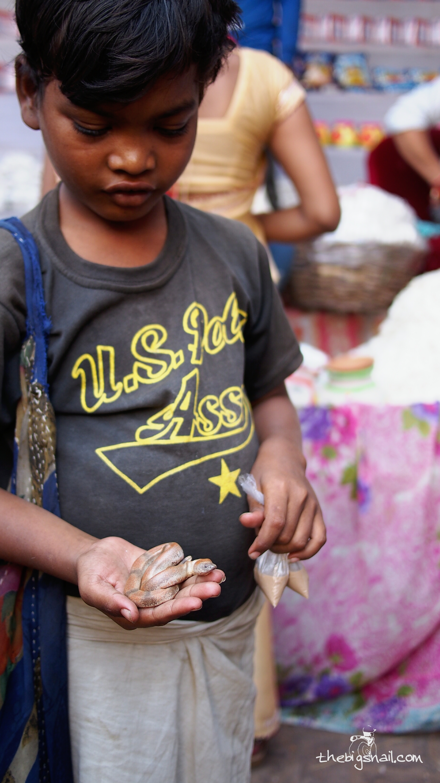 PA266858_1540564374926